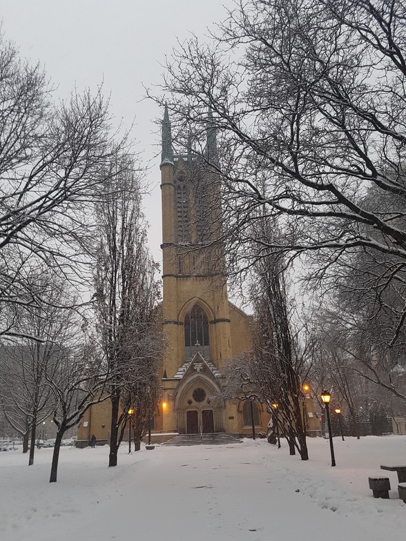 Slideshow image