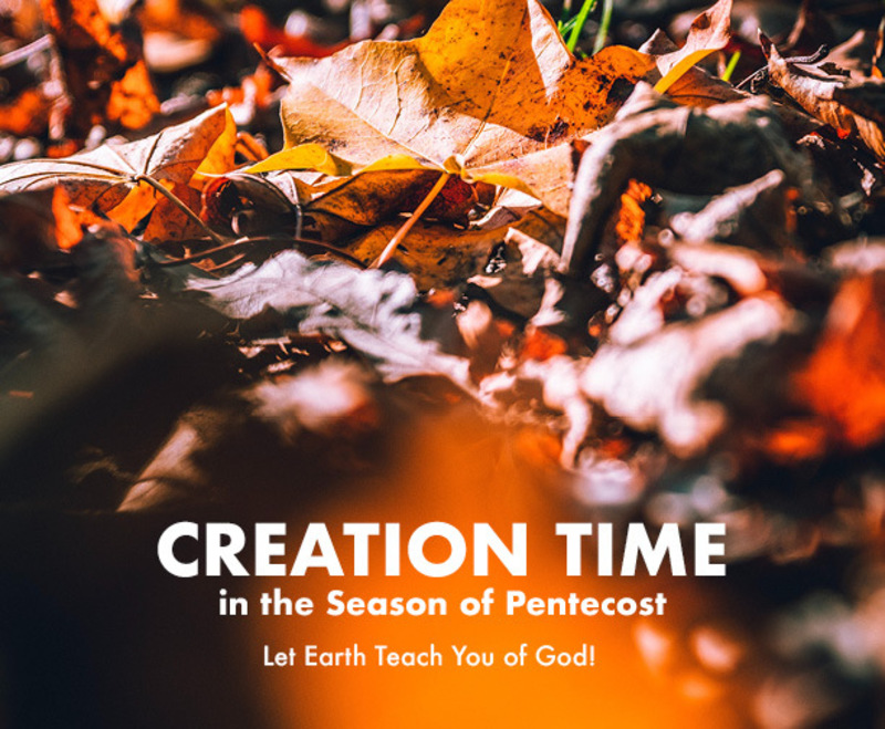 Ask Earth
